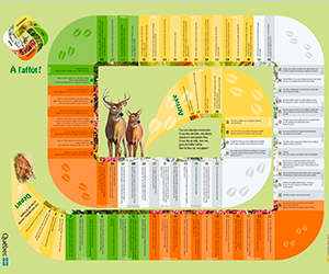 a-l-affut-jeu-educatif-rbatnq